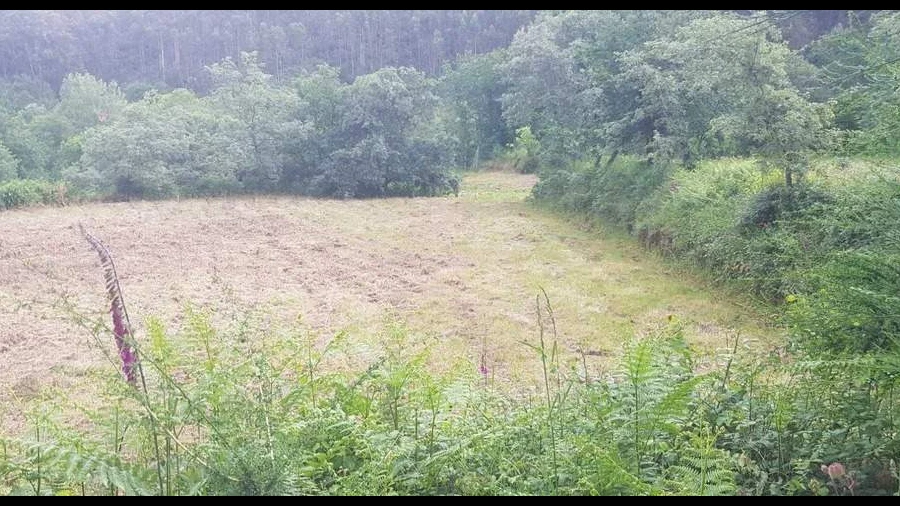 Terreno para Venda em Armil