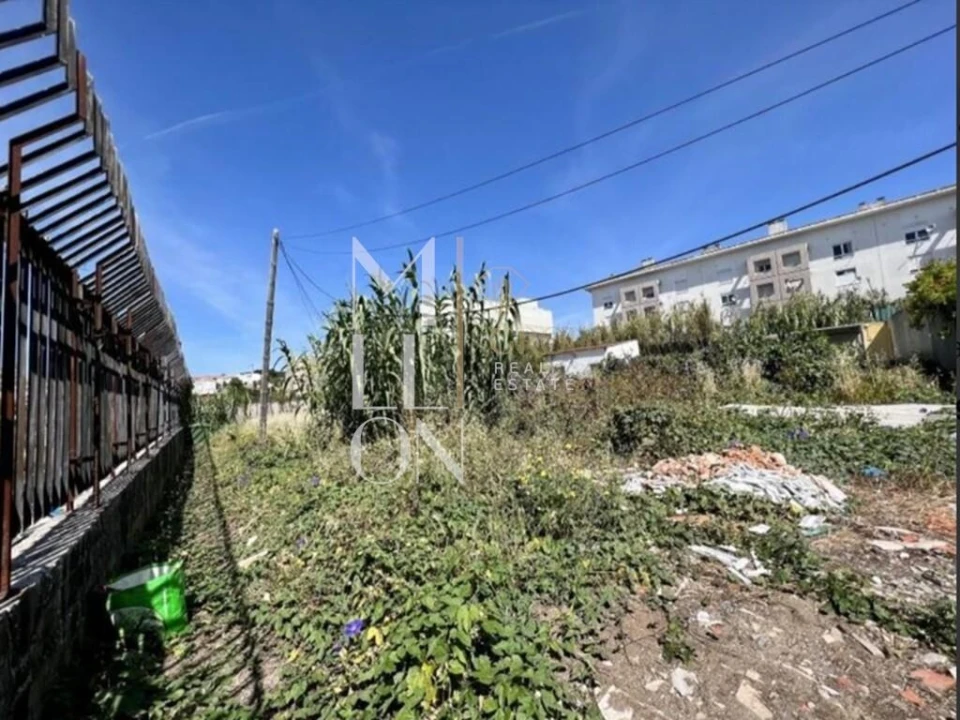 Terreno para Venda em Ajuda Foto 3
