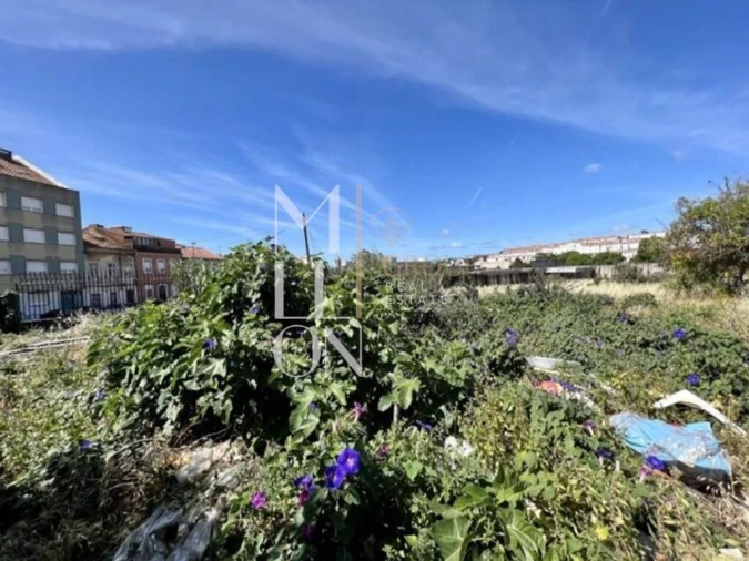 Terreno para Venda em Ajuda Foto 4