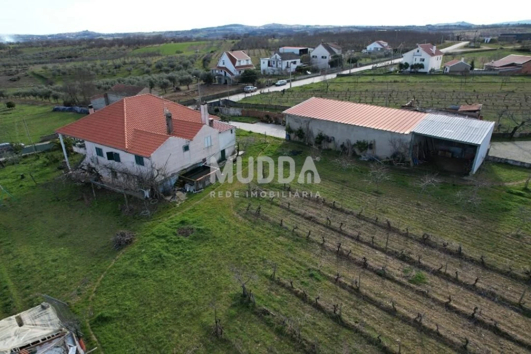 Moradia T4 para Venda em Grijo de Parada Foto 18