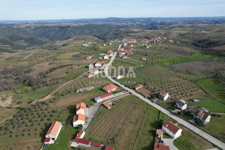 Moradia T4 para Venda em Grijo de Parada Foto 21