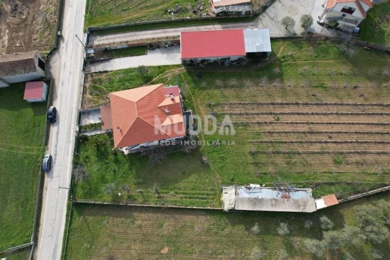 Moradia T4 para Venda em Grijo de Parada Foto 19