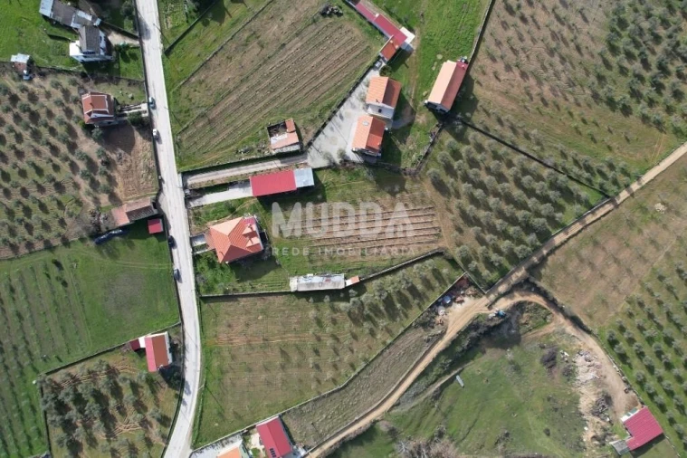 Moradia T4 para Venda em Grijo de Parada Foto 22