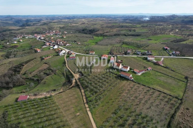 Moradia T4 para Venda em Grijo de Parada Foto 17