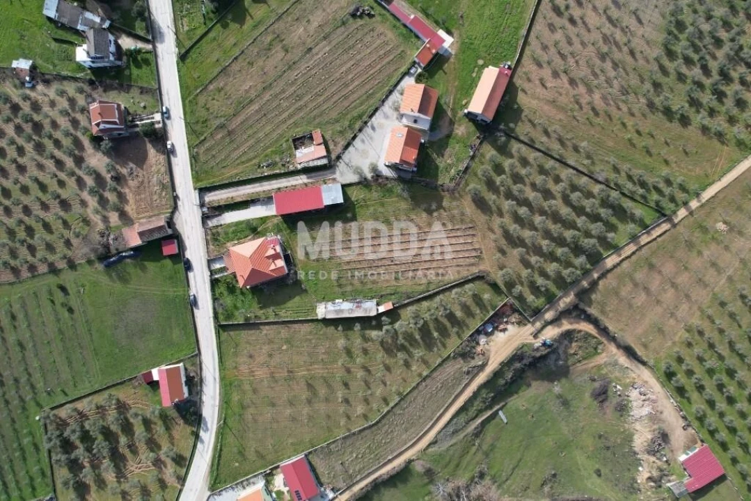 Moradia T4 para Venda em Grijo de Parada Foto 22