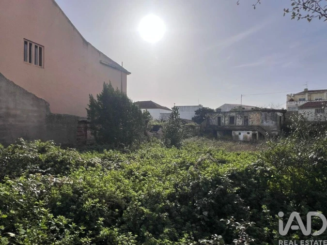 Terreno para Venda em Bombarral e Vale Covo Foto 6