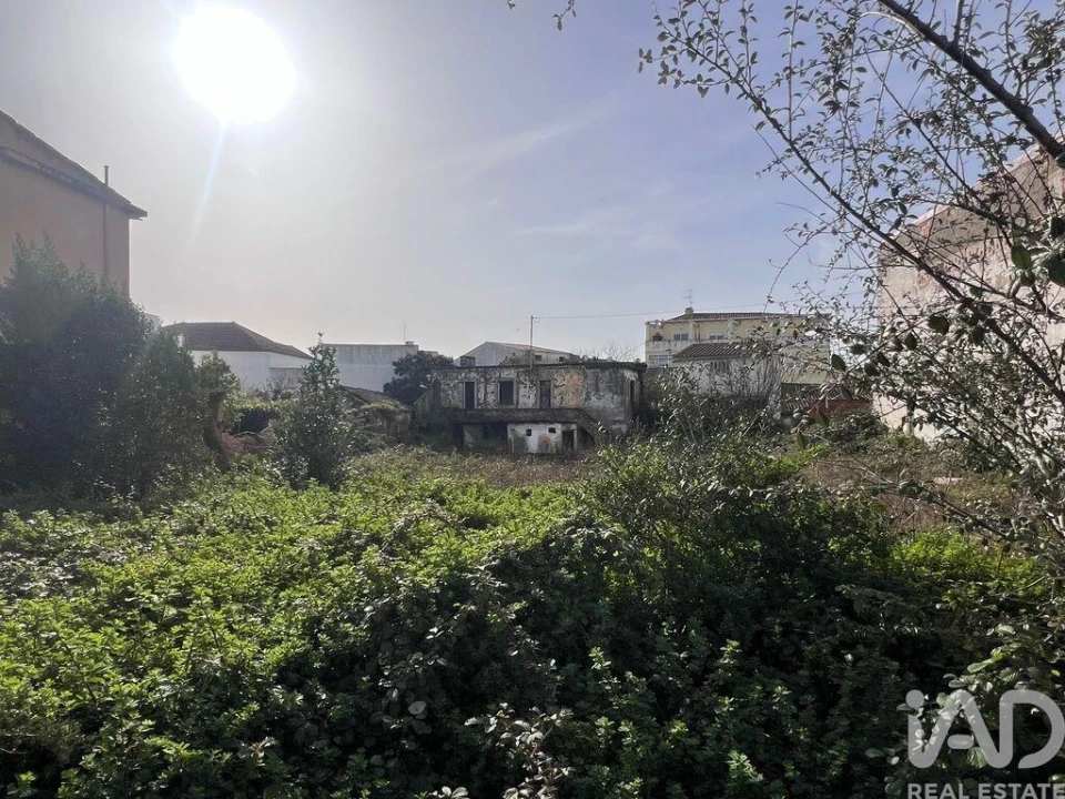 Terreno para Venda em Bombarral e Vale Covo Foto 3