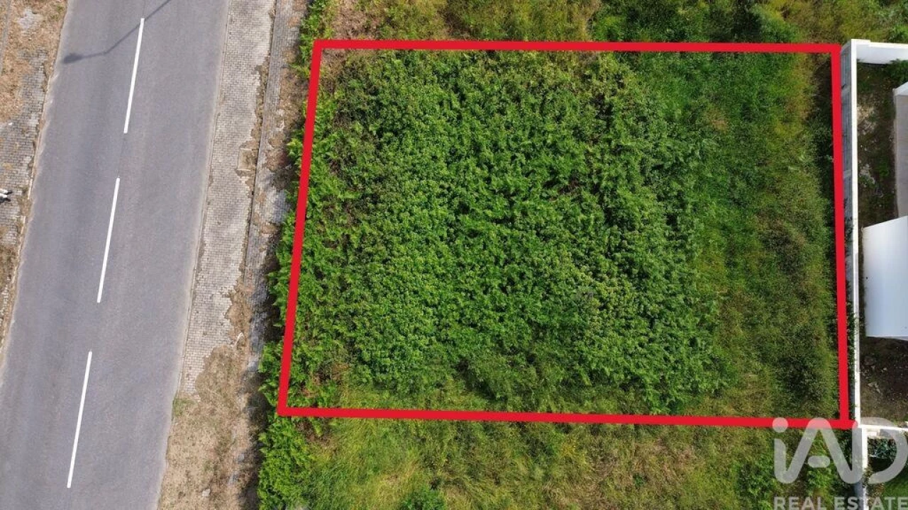 Terreno para Venda em Ruivães e Novais Foto 1