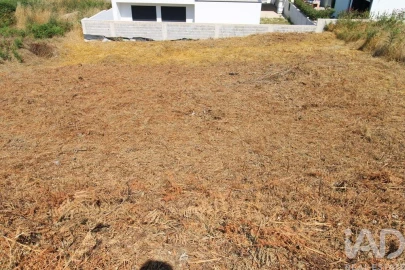 Terreno para Venda em Ruivães e Novais