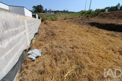Terreno para Venda em Ruivães e Novais