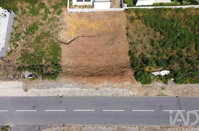 Terreno para Venda em Ruivães e Novais