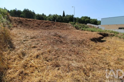 Terreno para Venda em Ruivães e Novais