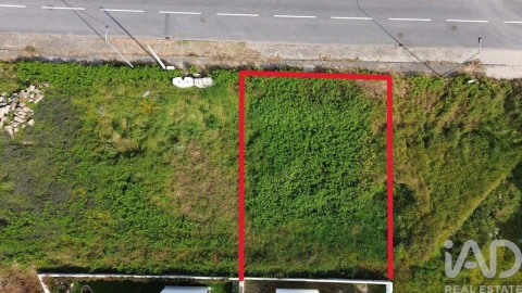 Terreno para Venda em Ruivães e Novais