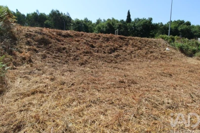 Terreno para Venda em Ruivães e Novais