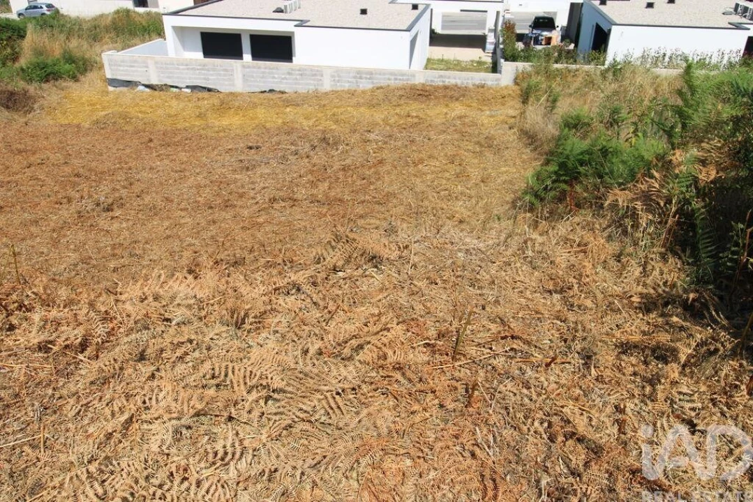 Terreno para Venda em Ruivães e Novais Foto 8