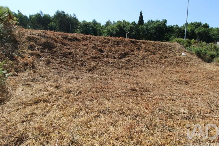 Terreno para Venda em Ruivães e Novais Foto 5
