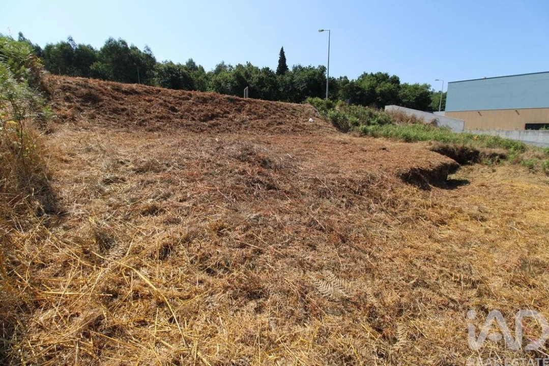 Terreno para Venda em Ruivães e Novais Foto 6