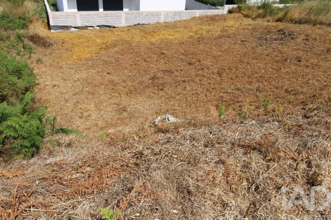 Terreno para Venda em Ruivães e Novais Foto 4