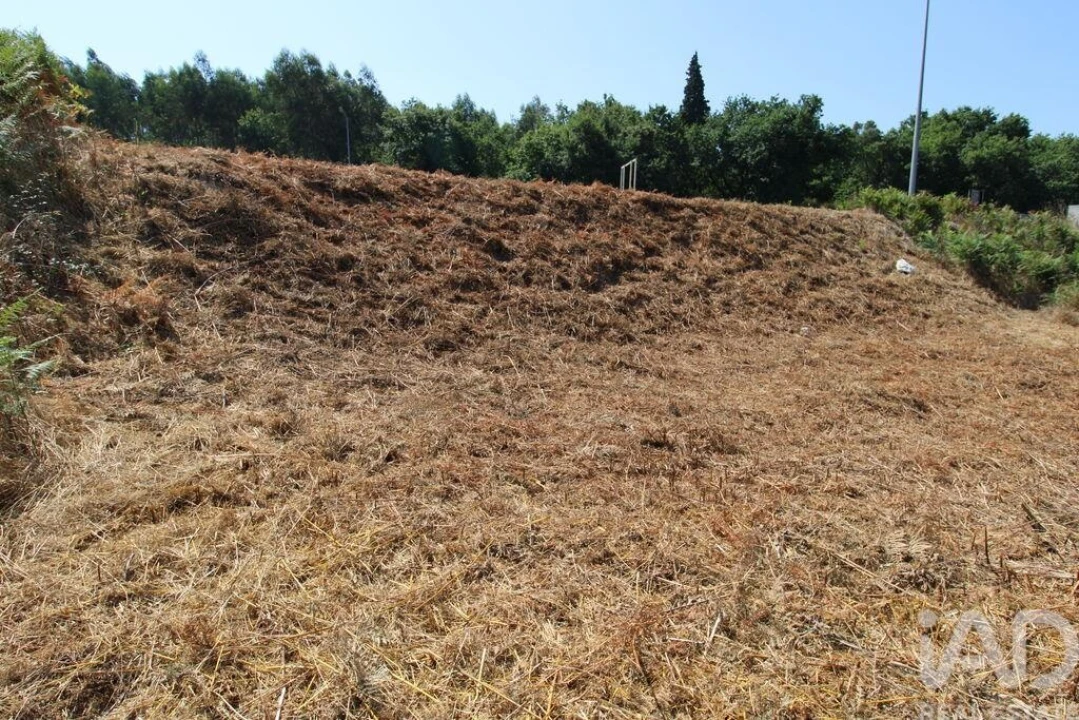 Terreno para Venda em Ruivães e Novais Foto 5