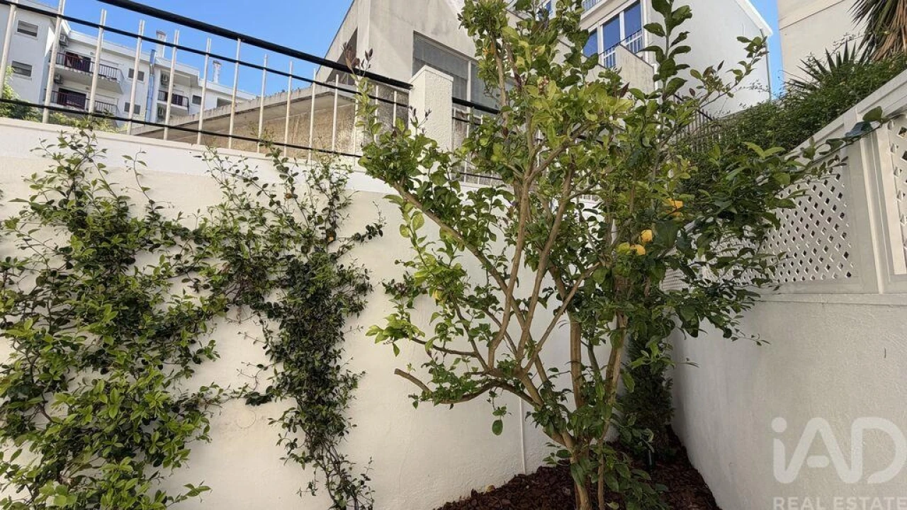 Apartamento T2 para Arrendamento em Estrela Foto 14