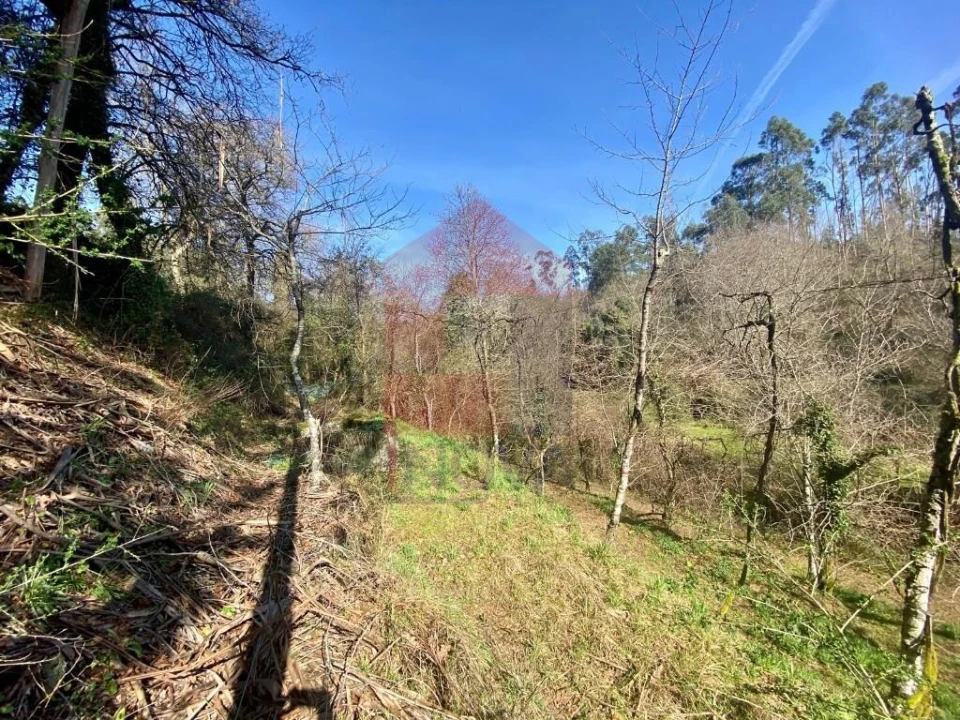 Terreno para Venda em Pico Foto 14