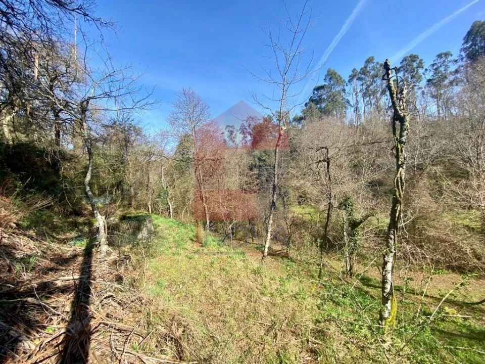 Terreno para Venda em Pico Foto 1