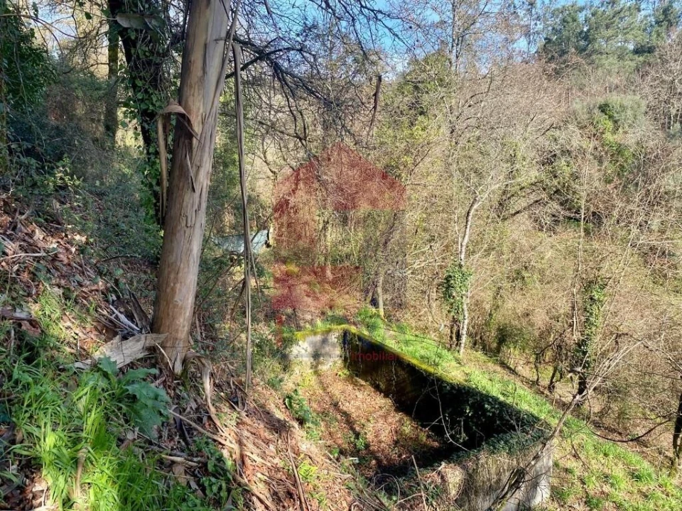 Terreno para Venda em Pico Foto 10