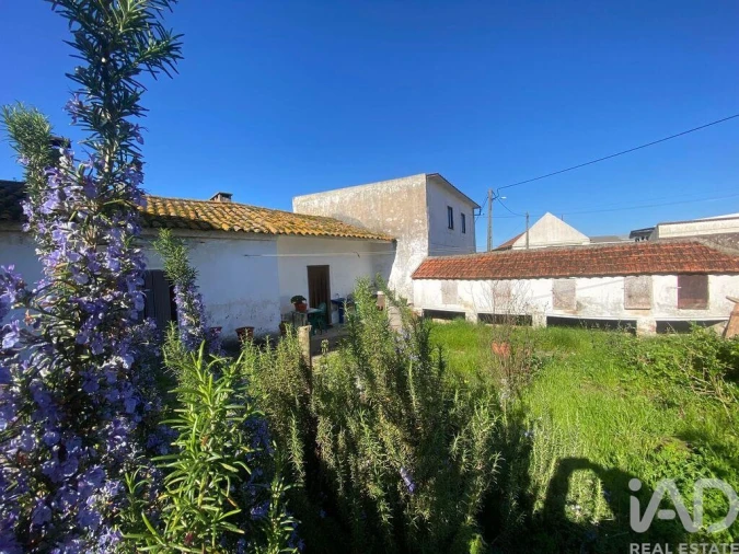 Moradia T3 para Venda em Carvalhal Foto 16