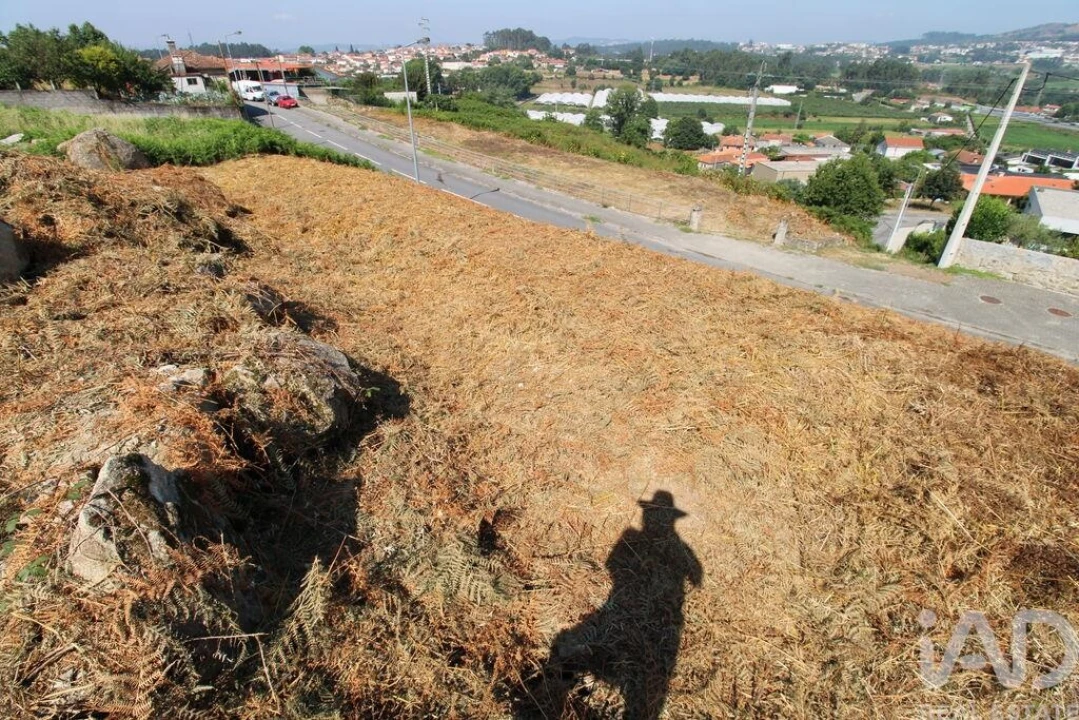 Terreno para Venda em Ruivães e Novais Foto 9