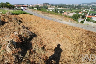 Terreno para Venda em Ruivães e Novais