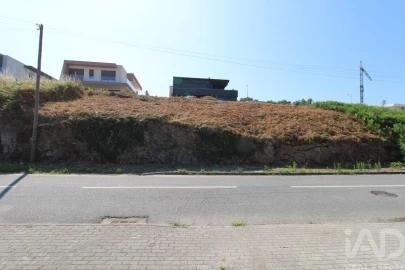 Terreno para Venda em Ruivães e Novais