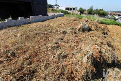 Terreno para Venda em Ruivães e Novais