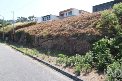 Terreno para Venda em Ruivães e Novais