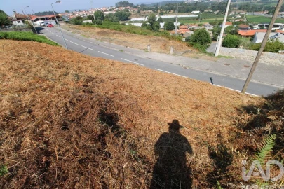Terreno para Venda em Ruivães e Novais