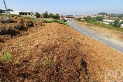 Terreno para Venda em Ruivães e Novais