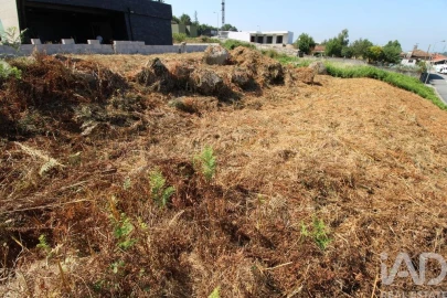 Terreno para Venda em Ruivães e Novais