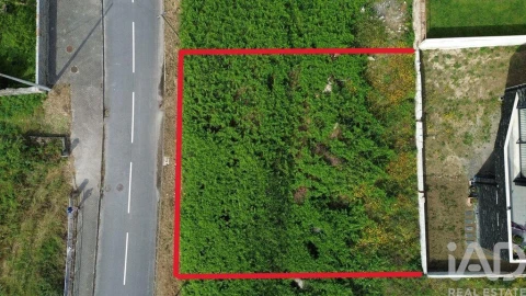 Terreno para Venda em Ruivães e Novais