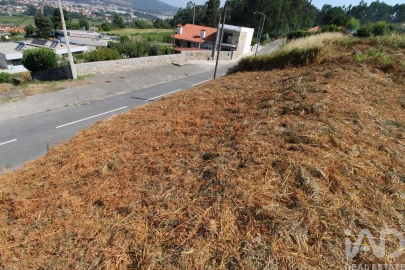 Terreno para Venda em Ruivães e Novais