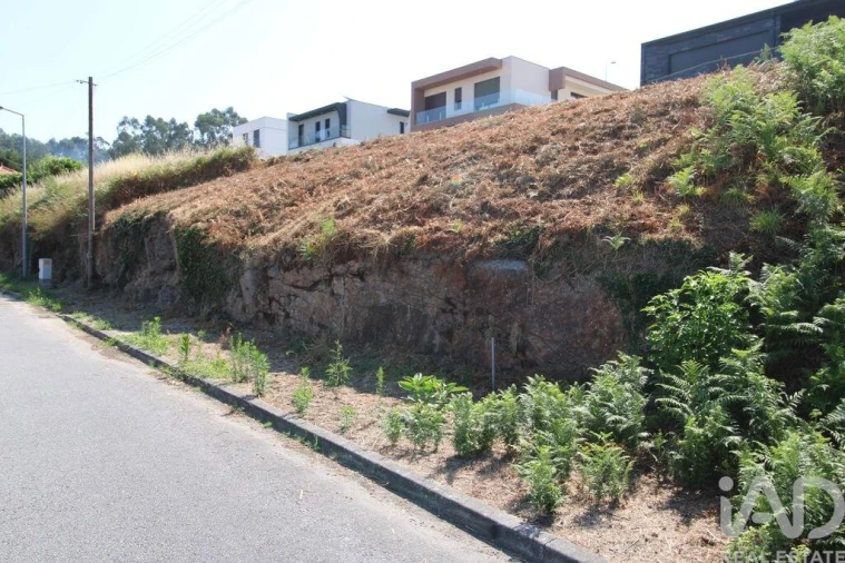 Terreno para Venda em Ruivães e Novais Foto 14