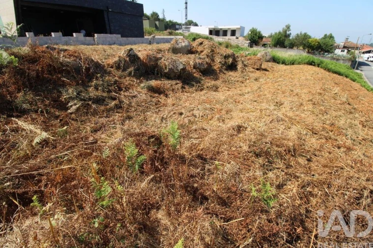 Terreno para Venda em Ruivães e Novais Foto 13