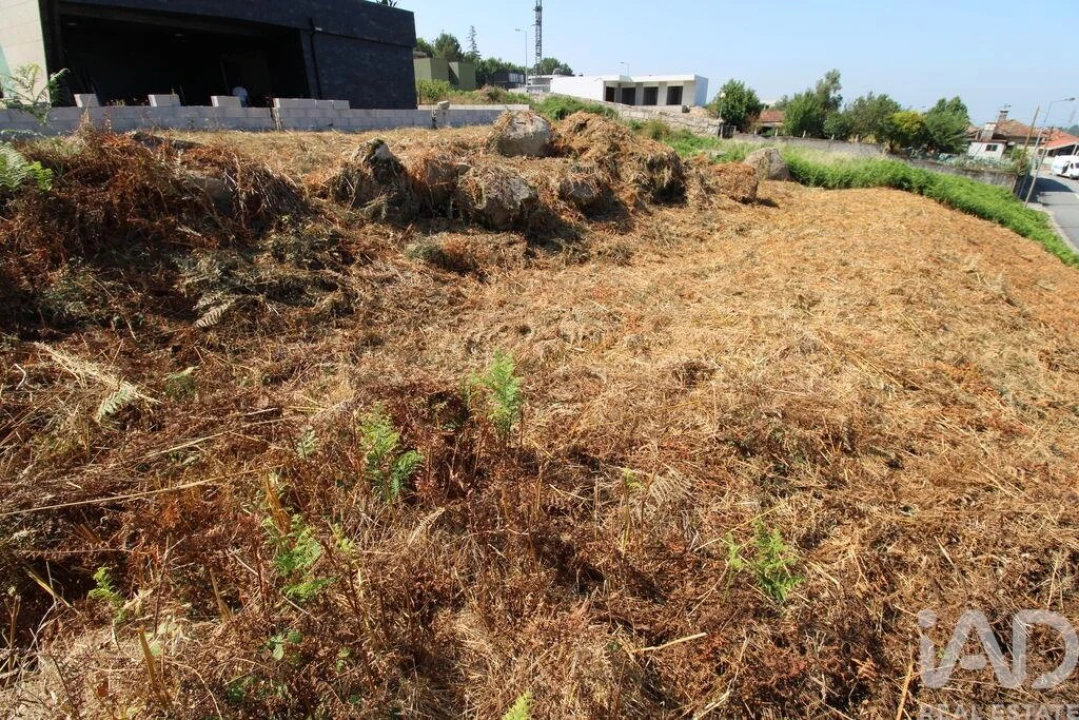 Terreno para Venda em Ruivães e Novais Foto 13