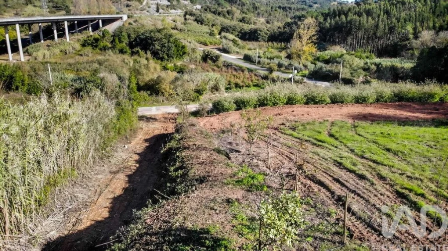 Terreno para Venda em Caldas da Rainha - Santo Onofre e Serra do Bouro Foto 21