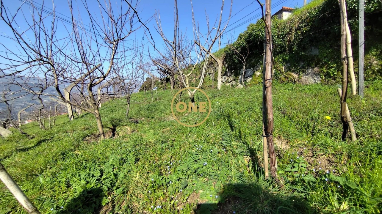 Terreno para Venda em Resende Foto 13