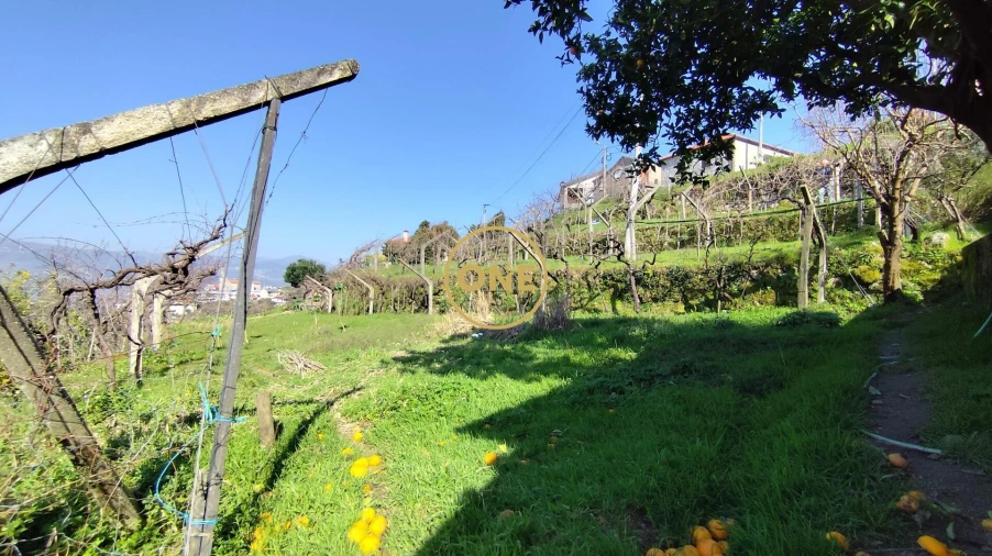 Terreno para Venda em Resende Foto 16