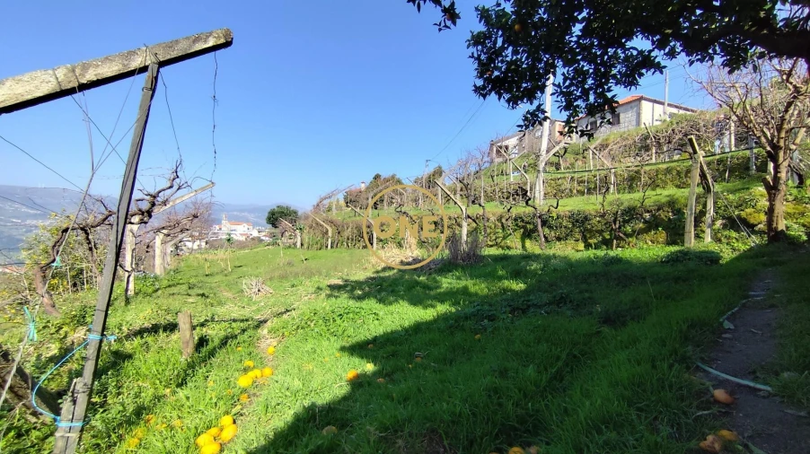 Terreno para Venda em Resende Foto 17