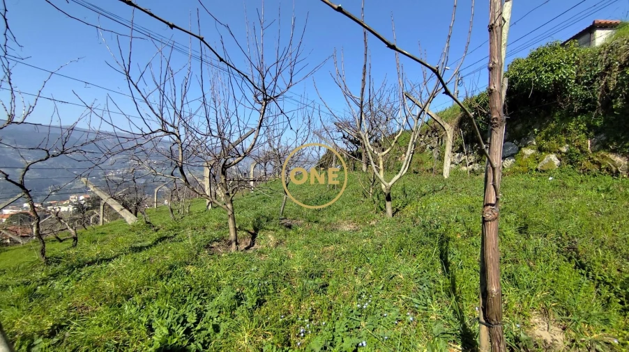 Terreno para Venda em Resende Foto 14