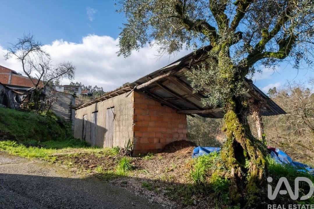 Moradia T3 para Venda em Penacova Foto 4