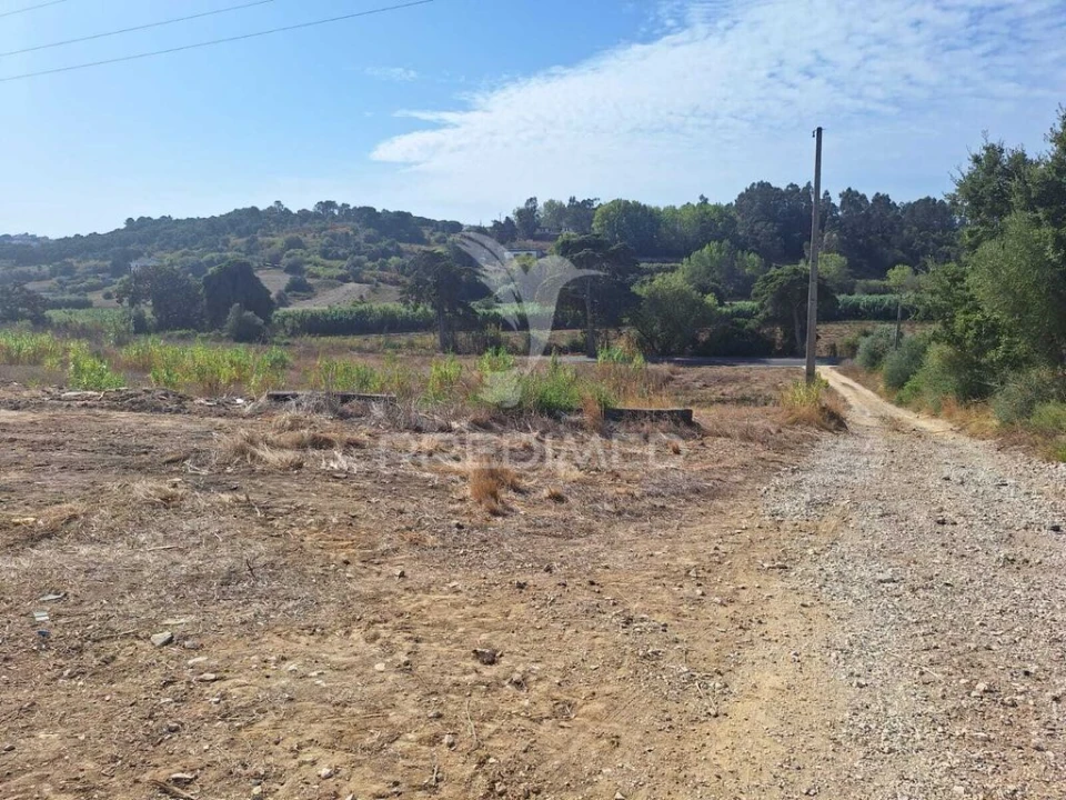 Armazém para Venda em Aveiras de Cima Foto 6