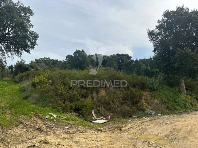 Armazém para Venda em Aveiras de Cima Foto 14