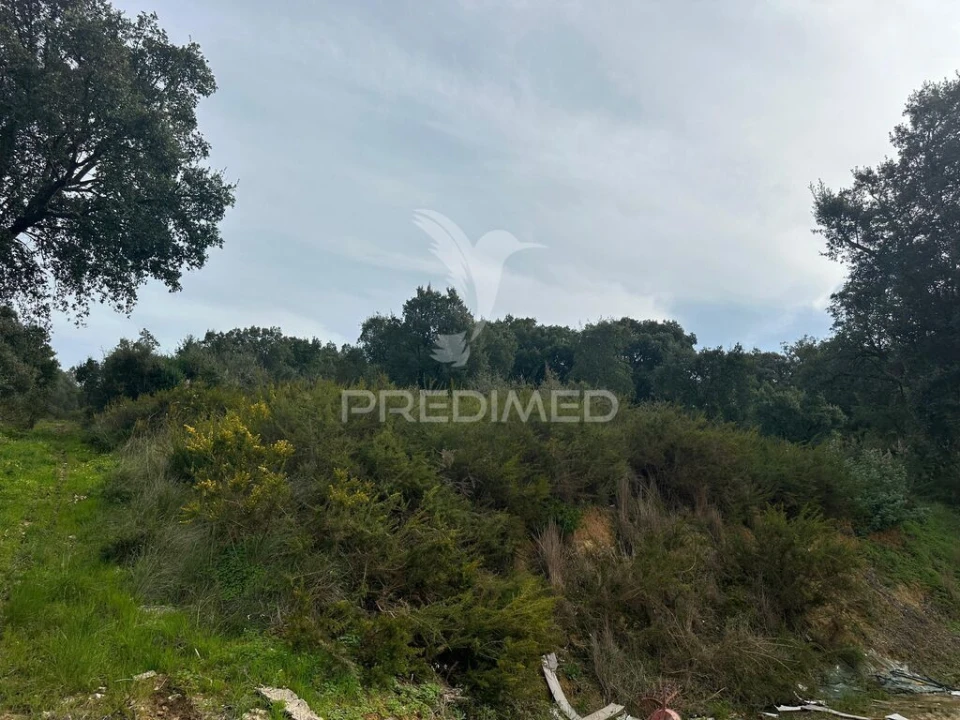 Armazém para Venda em Aveiras de Cima Foto 16